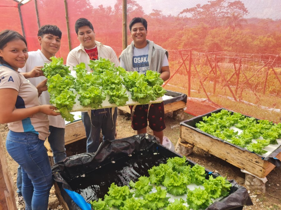 Cosecha de lechugas producidas por nuestros alumnos